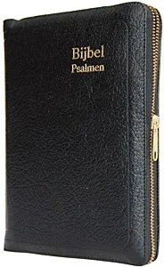 Herenzakbijbel H35R RITMISCH leer goudsn