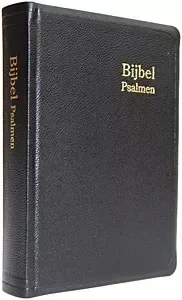 Herenzakbijbel H31R RITMISCH kunstleer