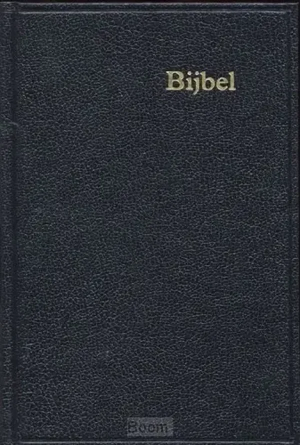 Schoolbijbel S20 kunstl