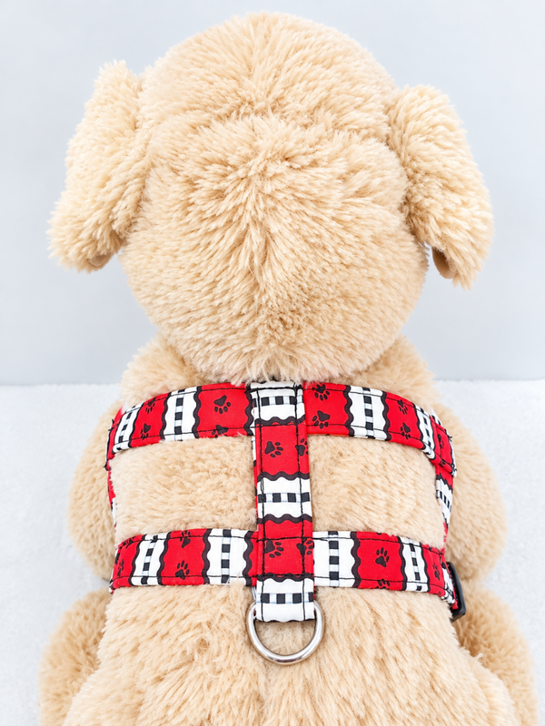 Red, Black, White with Paws