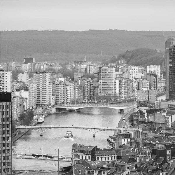 Regards sur Liège.