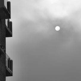 18012024-8-standard.jpg