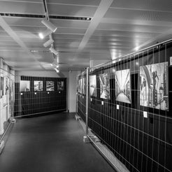 _dsc5776-standard.jpg