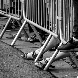 p1430523-standard.jpg