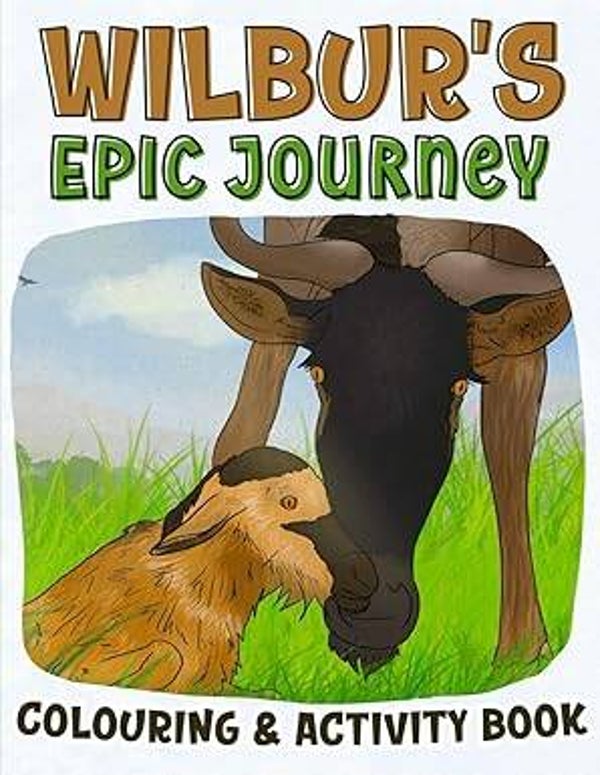 Colouring and Activity Book