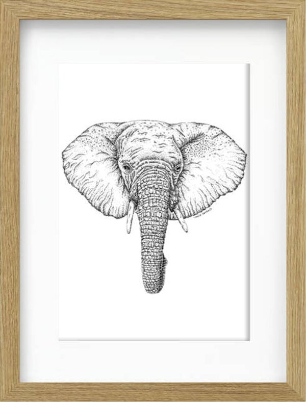 Little Elephant