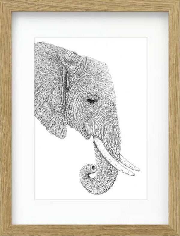 Big Elephant