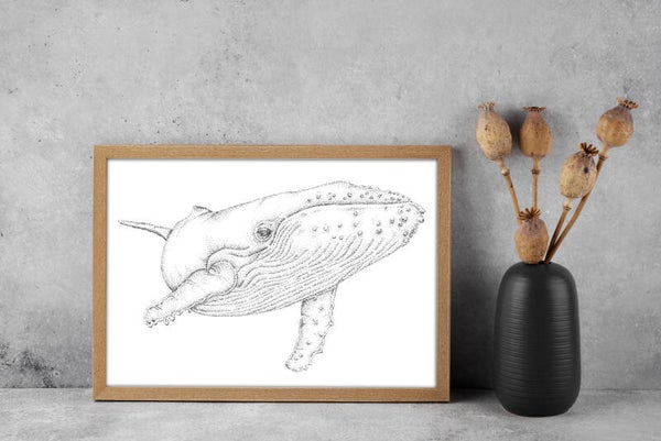 Dotwork Big Whale