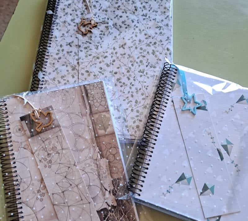 cuadernos-standard-nw5yyb.jpg