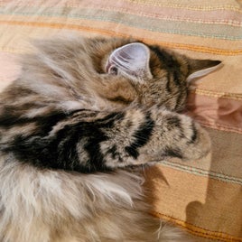 20231227_194732-standard.jpg