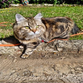 20240401_161416-0-standard.jpg