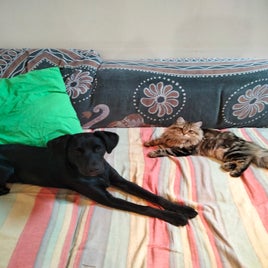 img20231209133500-standard.jpg
