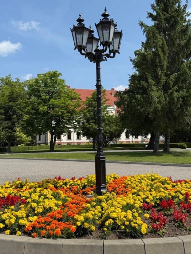 Individuelle Projekte