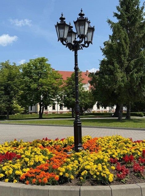 Klassische Parklaterne aus Gusseisen – Elegante Straßen- und Außenbeleuchtung für Parkanlagen, Gärten & öffentliche Räume