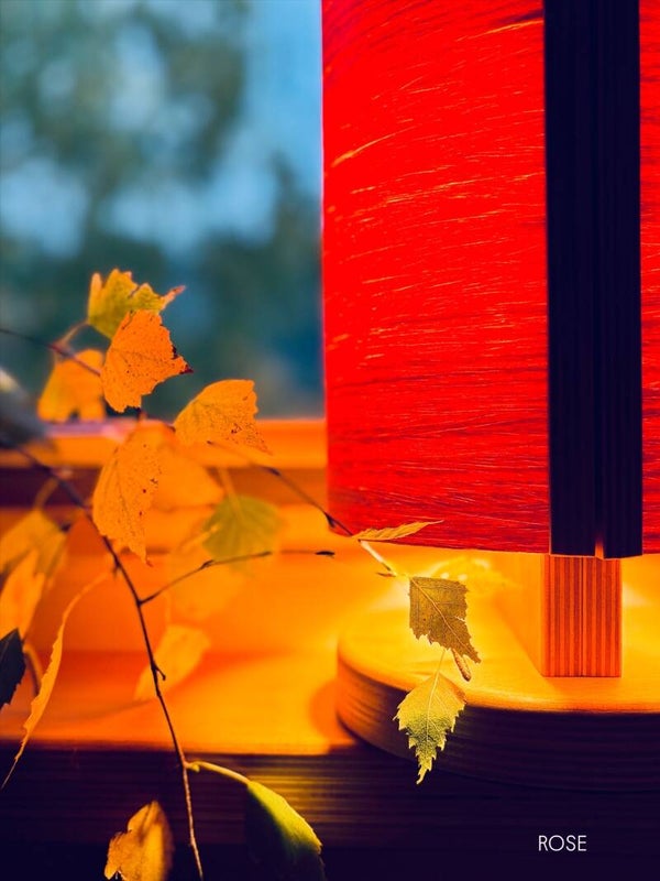 Kompakte LED-Tischleuchte aus Buchenholz – dekoratives Licht für Wohnräume H 28,5 cm