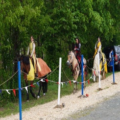 dsc06814-standard.jpg