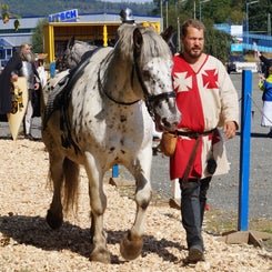 dsc08054-standard.jpg