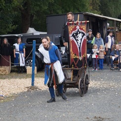dsc08156-standard.jpg