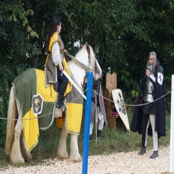 dsc08175-standard.jpg