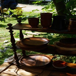 dsc08500-standard.jpg