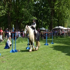 dsc_0040-standard.jpg
