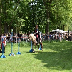 dsc_0042-standard.jpg