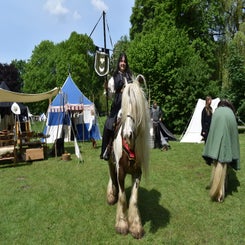 dsc_0070-standard.jpg