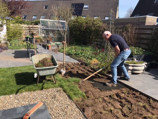 Foto voortuin Lent Karin Bergkamp Kalimeris duurzaam tuinadvies
