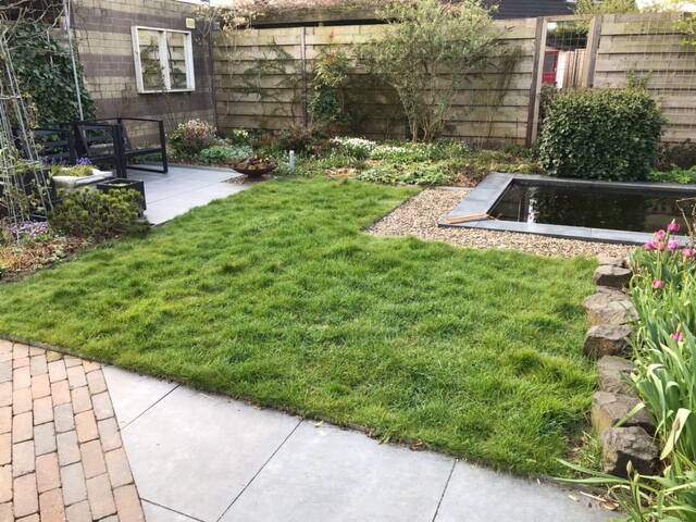 Foto voortuin Lent Karin Bergkamp Kalimeris duurzaam tuinadvies