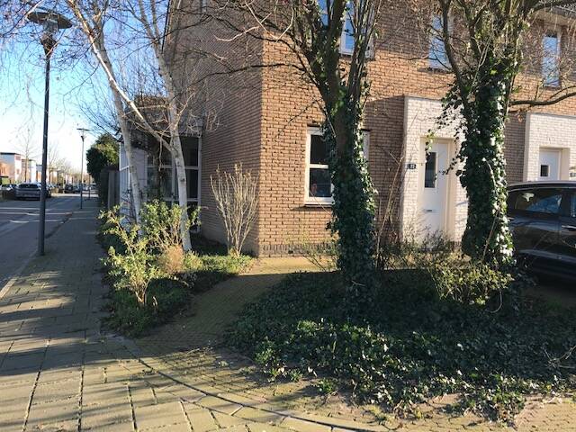 Foto voortuin Lent Karin Bergkamp Kalimeris duurzaam tuinadvies