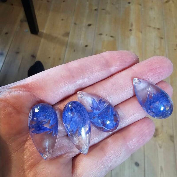 Oorbellen druppel, transparant met gedroogde blauwe korenbloem