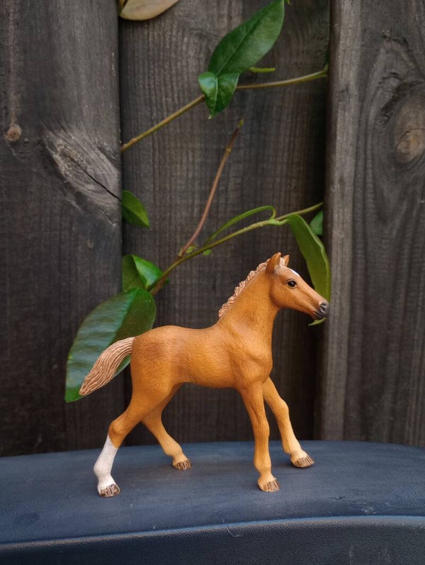 Schleich veulen uit set 42458