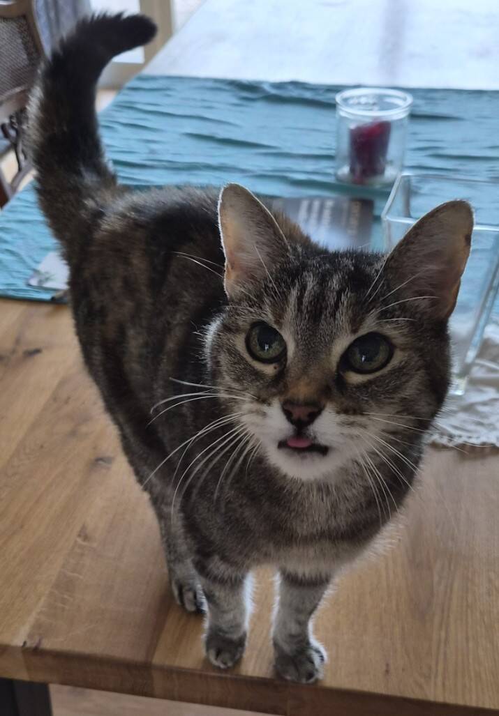 Kali