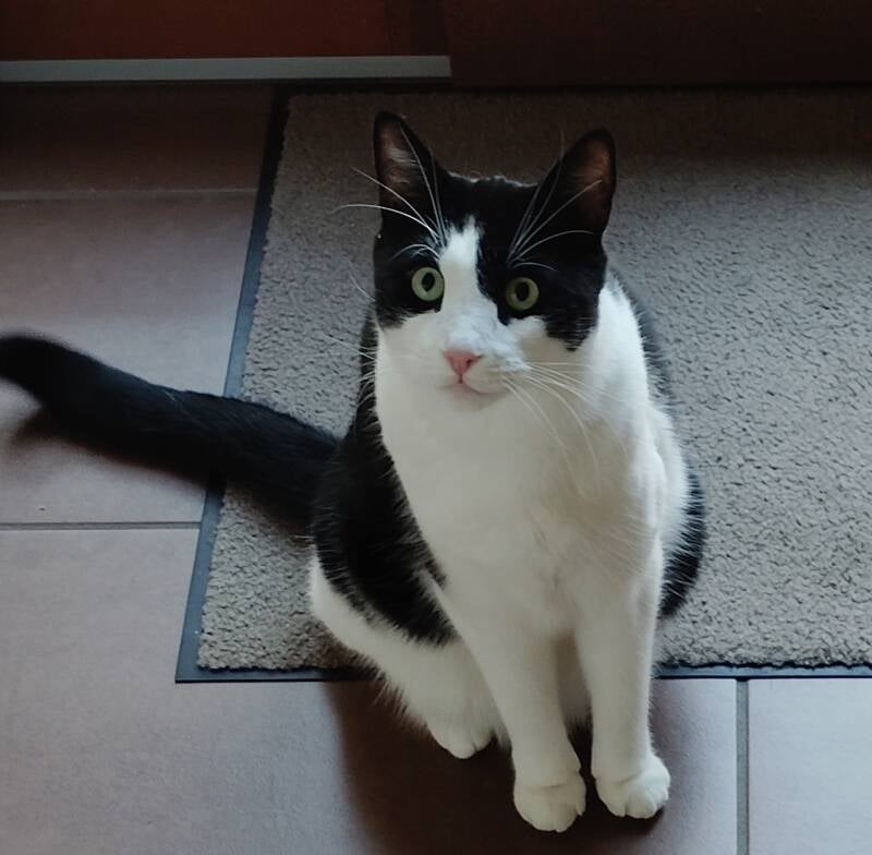 Micky