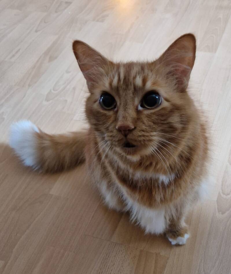 Twix
