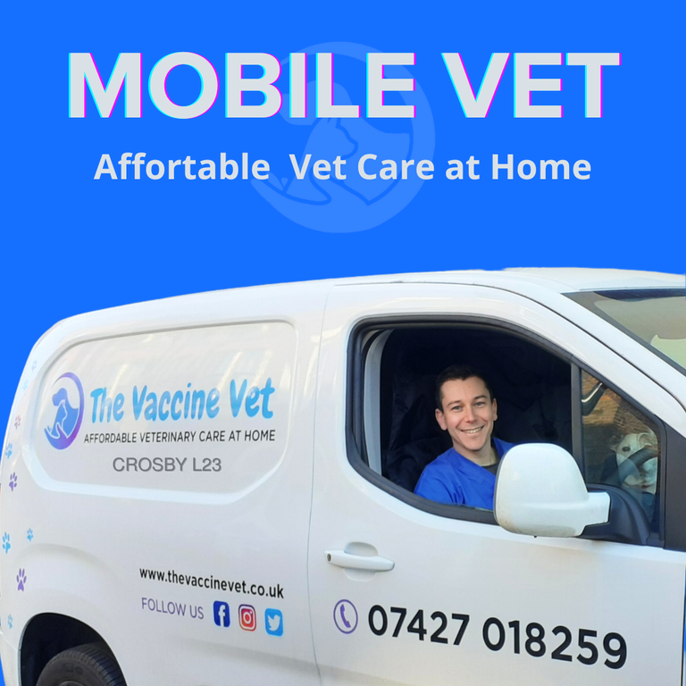 van veterinarian for mobile visits in liverpool