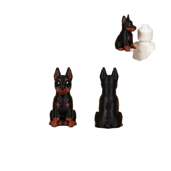 German Doberman