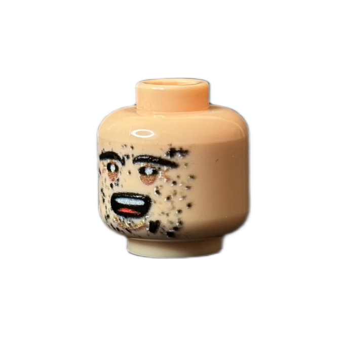 Japanese Head #13