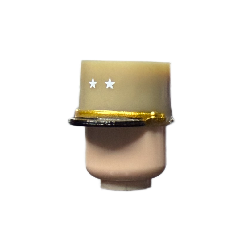 WW| France 2 Star Officer Hat