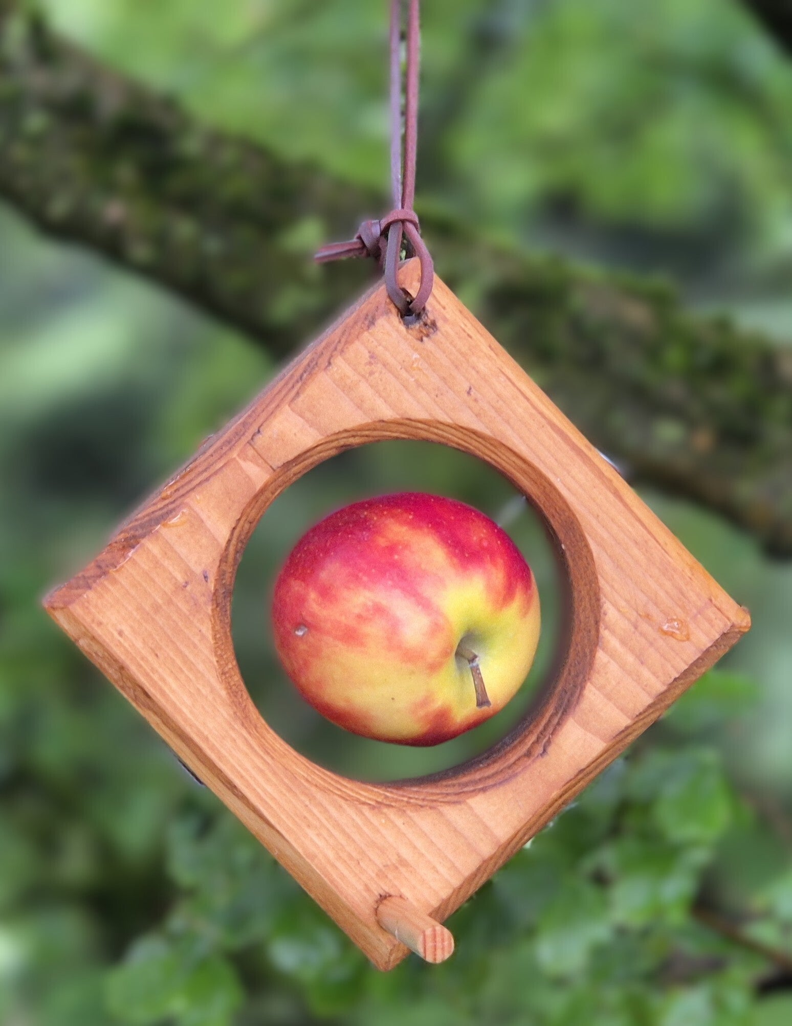 Vogelvoerhanger voor een appel - hang voerhuisje - vurenhout - leren riempje - decoratief