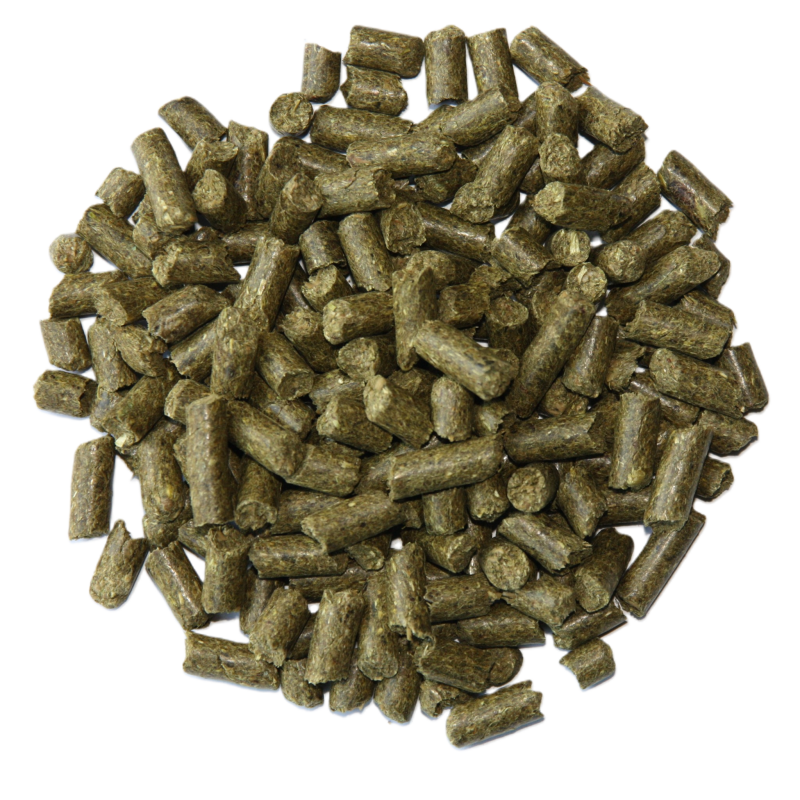 Balancer schapen en geiten