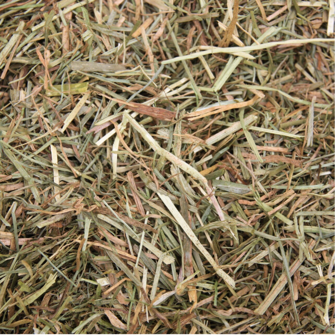 Ruwvoermix