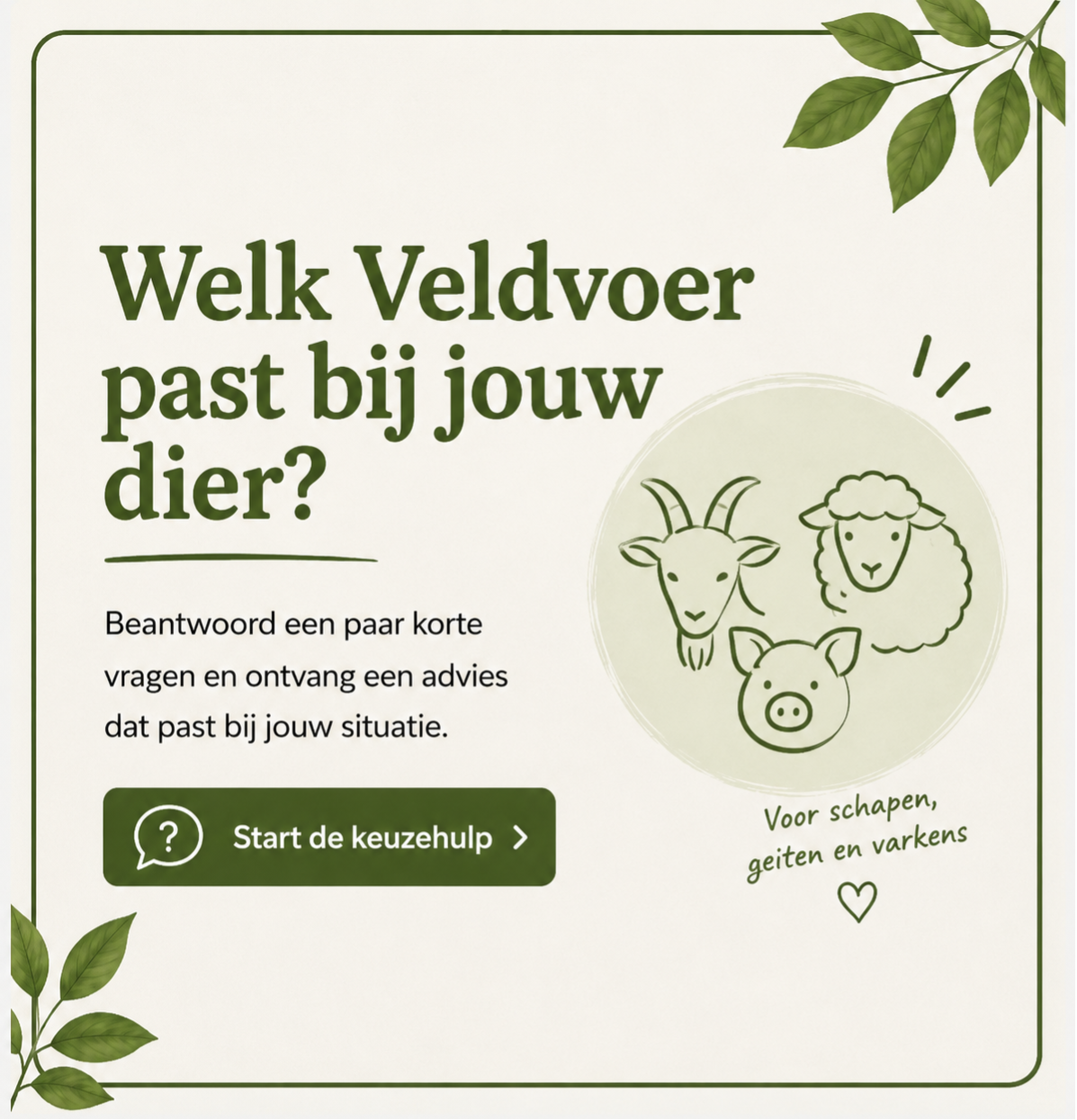 Keuzehulp Veldvoer