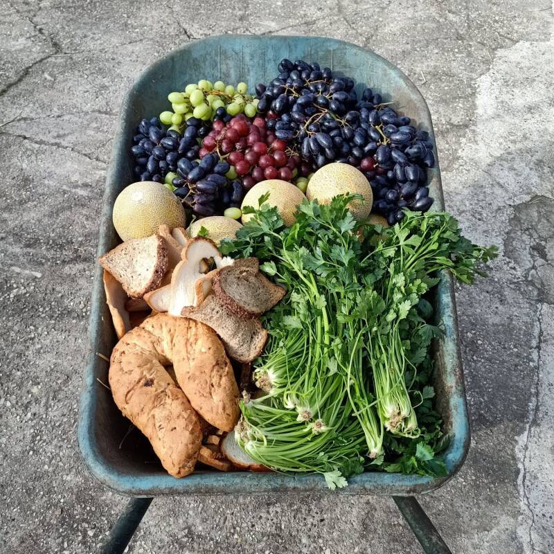 Kruiwagen met fruit en brood