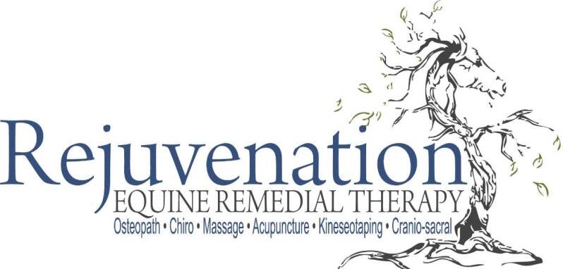 Rejuvenation Equine Remedial Therapy