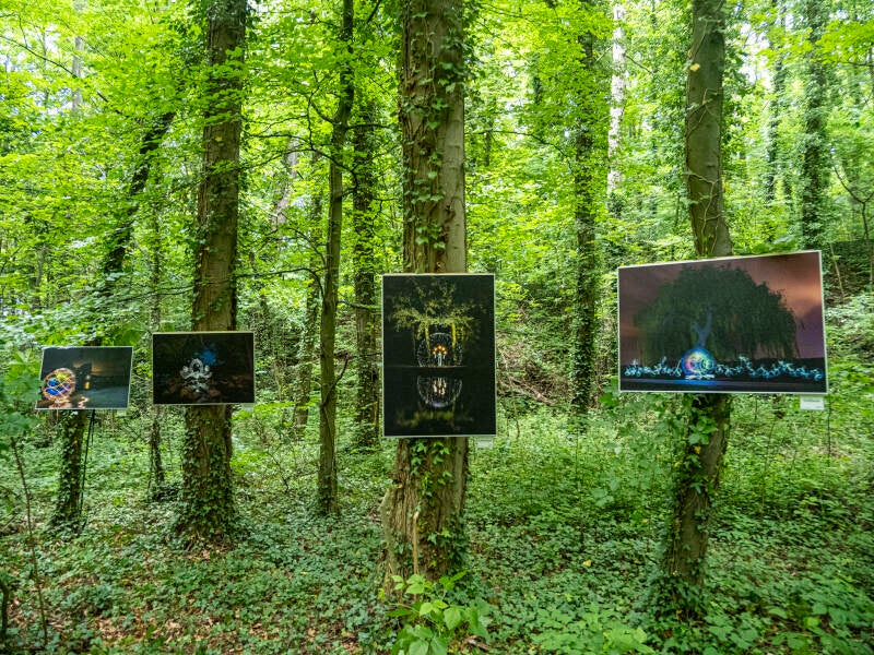 Elze - Kunst im Wald - Lightpainting
