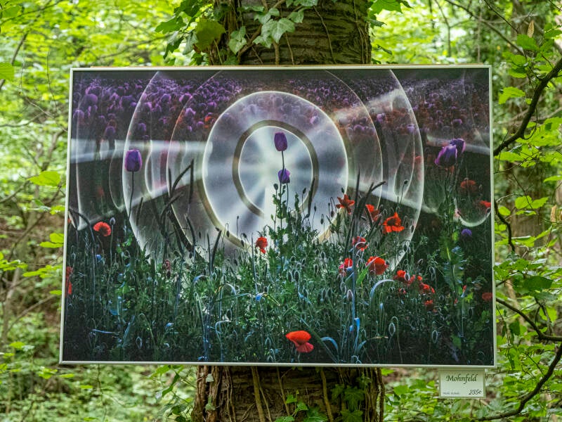 Elze - Kunst im Wald - Lightpainting