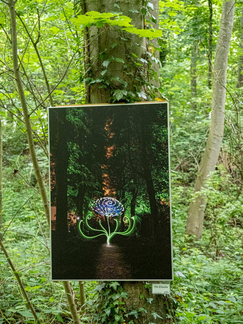 Elze - Kunst im Wald - Lightpainting