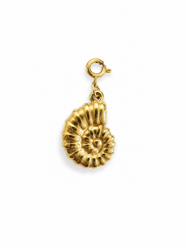 Golden Shell