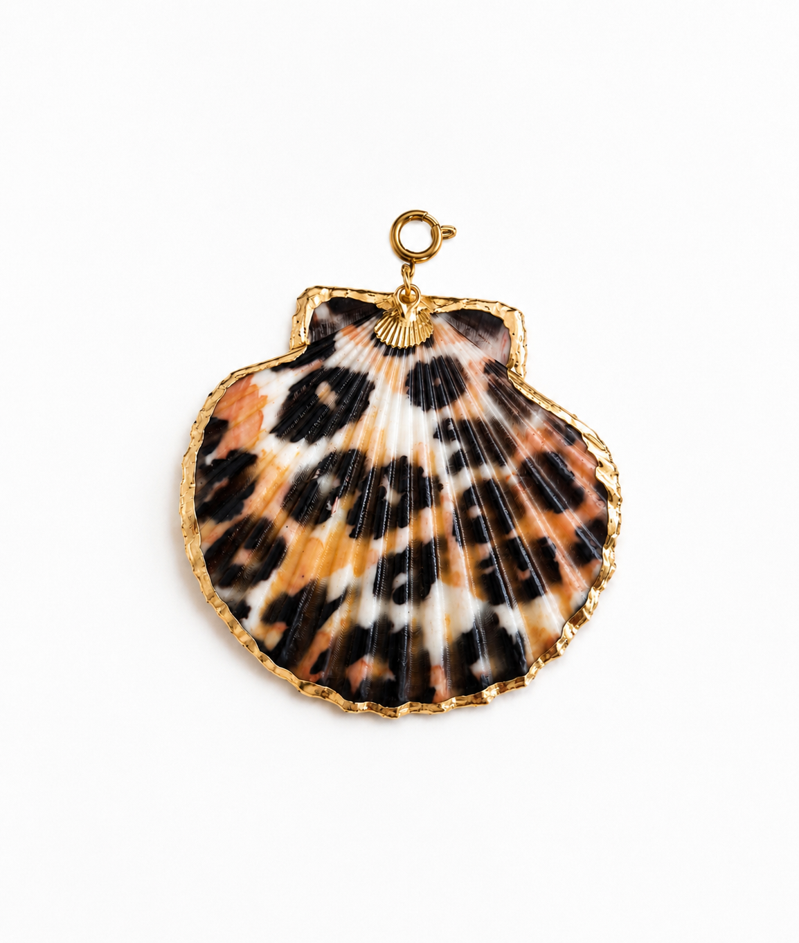 Leopard Shell